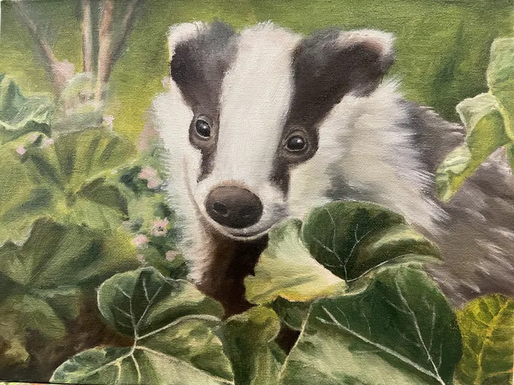 Badger