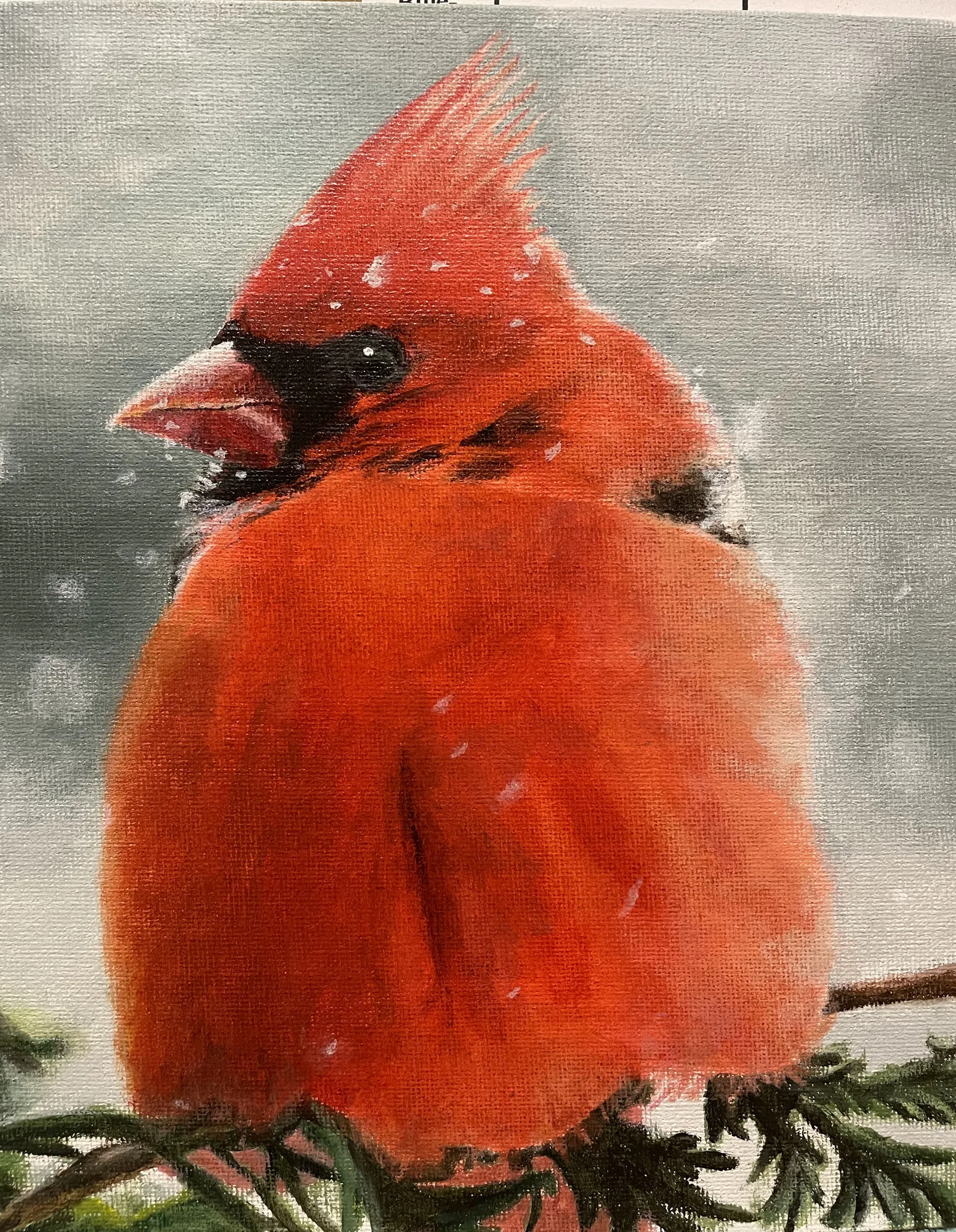 Northern Cardinal, the finished painting