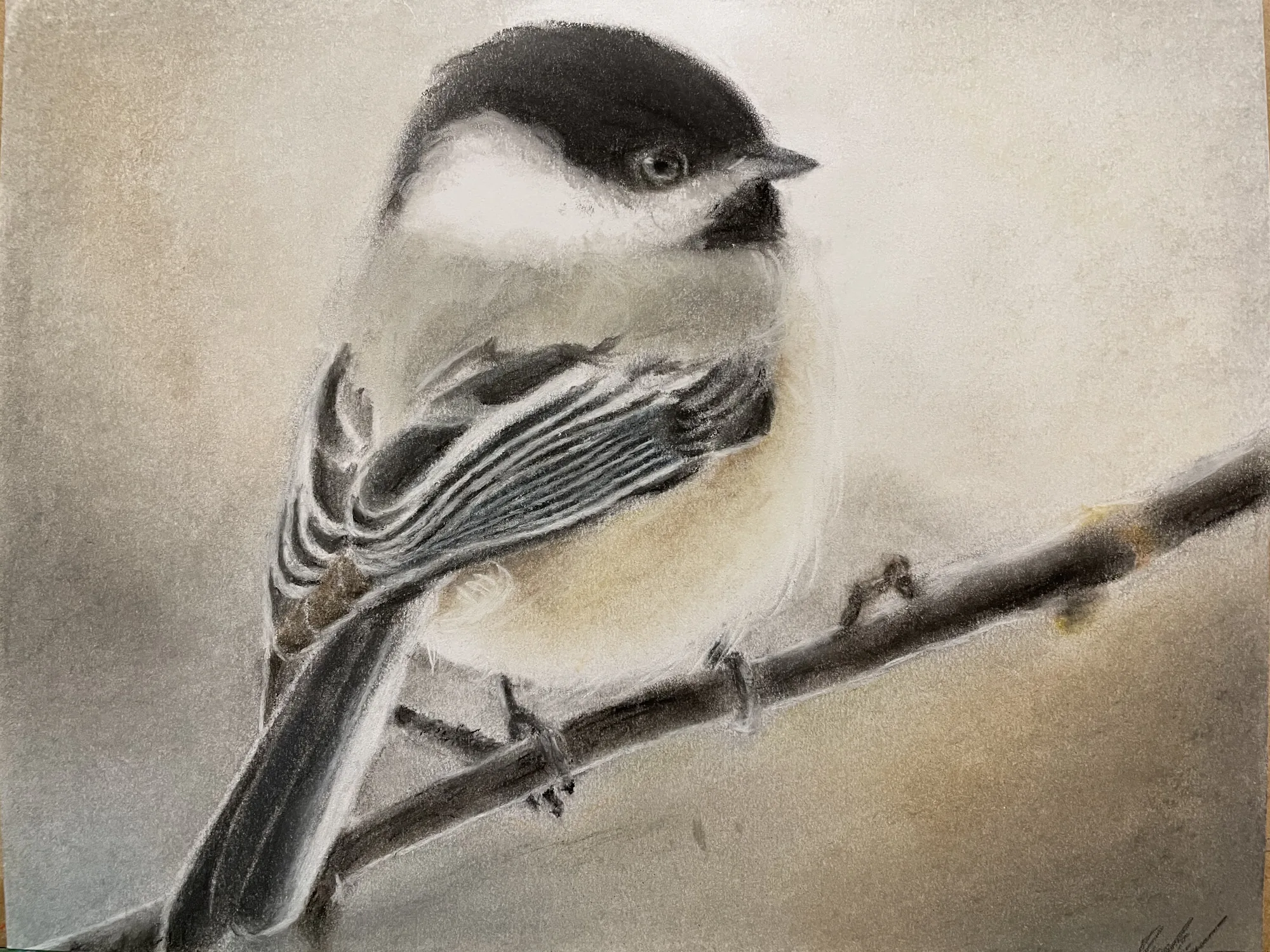 Chickadee, the finished painting